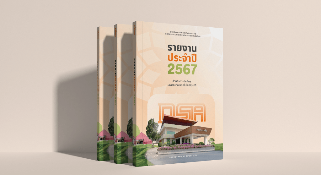 DSA Annual Report 2024